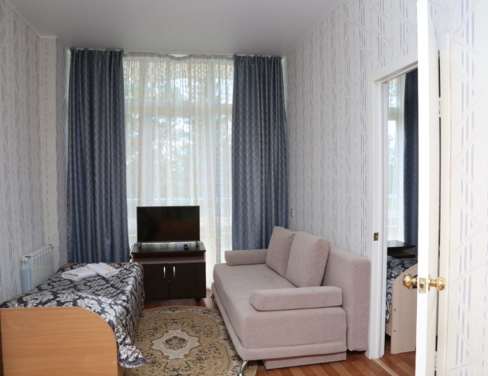 Стандарт 2-местный 2-комнатный (вид на озеро) - Санаторий-профилакторий «Кошкуль» Миасс