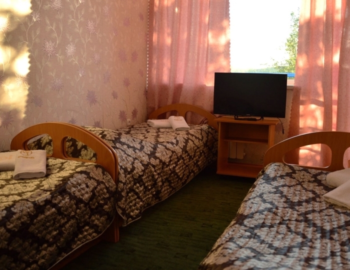 Эконом 3-местный 1-комнатный - Санаторий-профилакторий «Кошкуль» Миасс